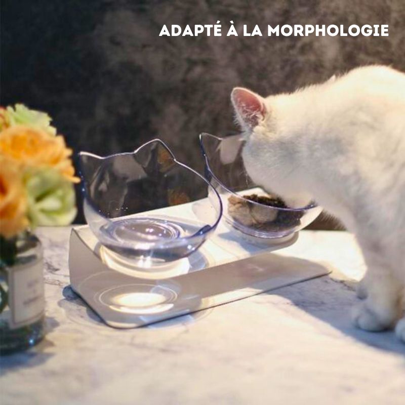 Gamelle pour chat | CatsFoodâą