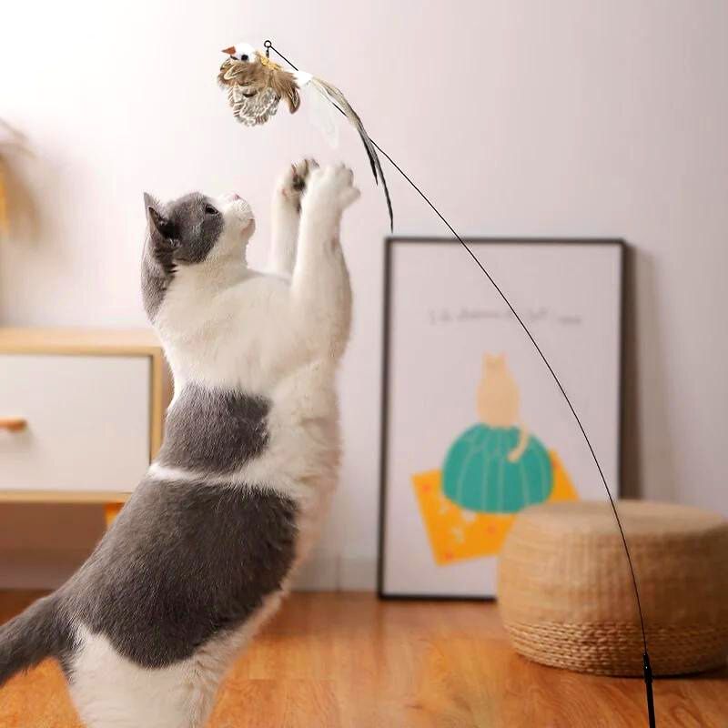 Jouet Chat Oiseau BirdFamily