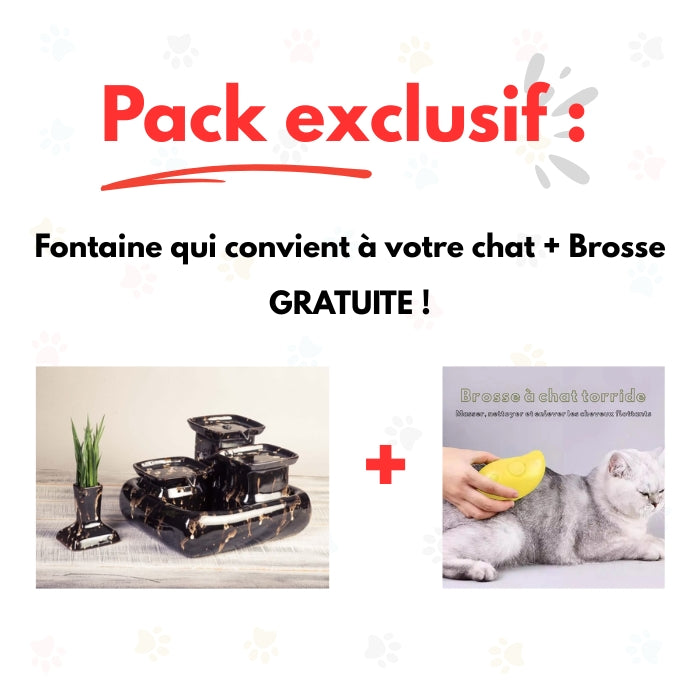 Fontaine d’eau pour chat en céramique + Brosse a chat offerte
