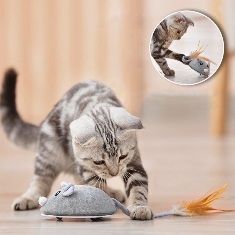 Jouet Souris Interactive