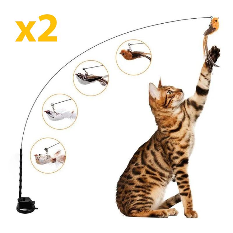 https://cdn.shopify.com/s/files/1/0647/7493/0696/files/Votretextedeparagraphe_16.jpg?v=1726905527