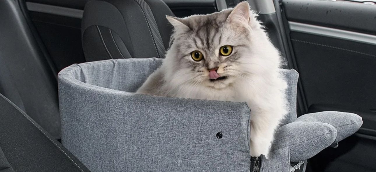 Siège de voiture pour chat – Confort, sécurité et style en déplacement