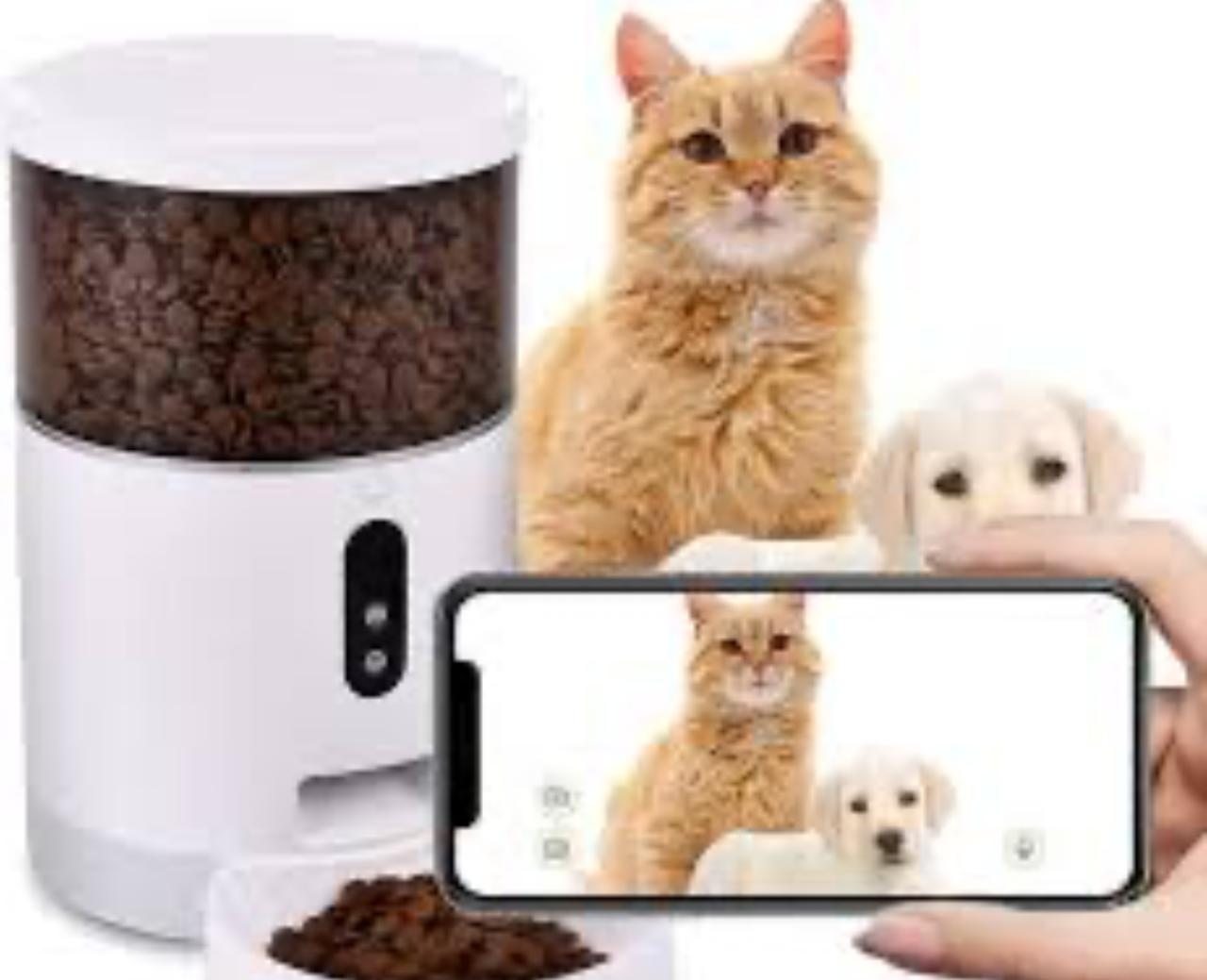 Distributeur automatique de croquettes pour chat