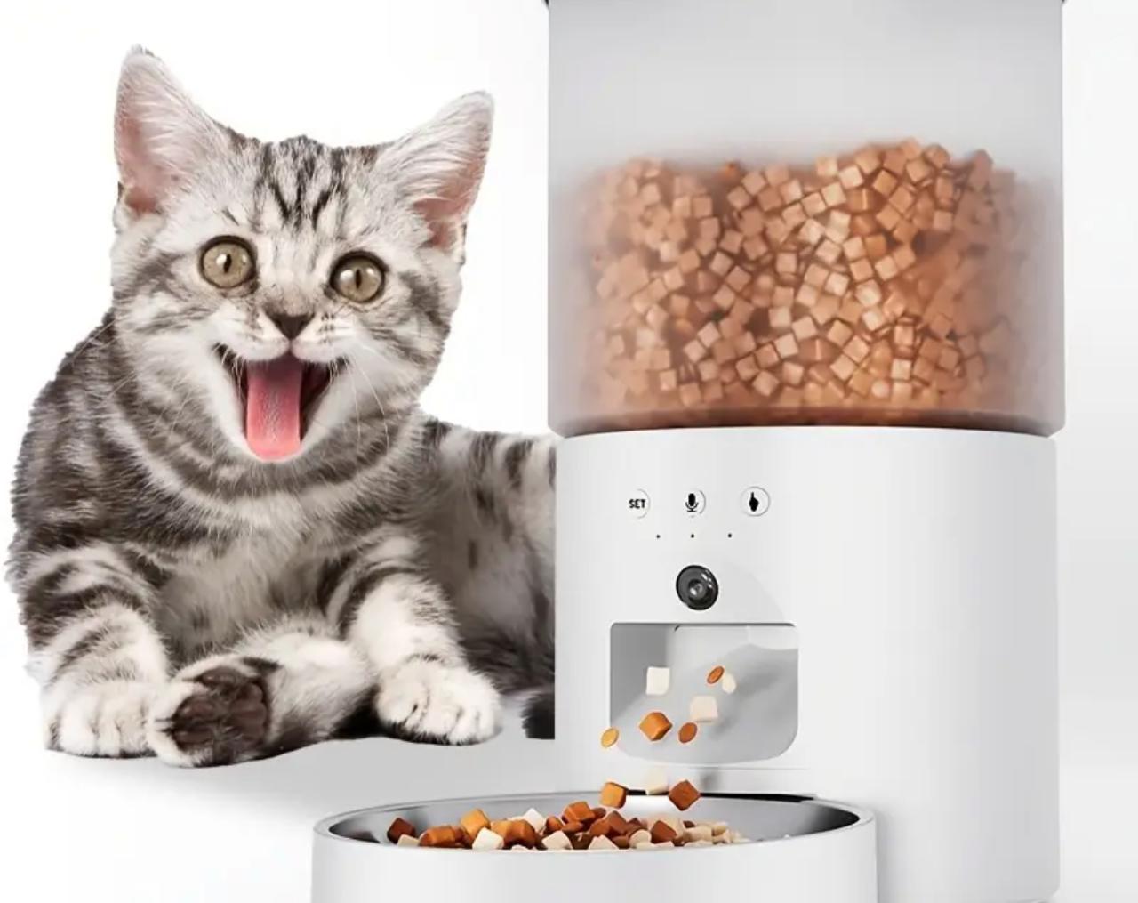 Distributeur automatique de croquettes pour chat