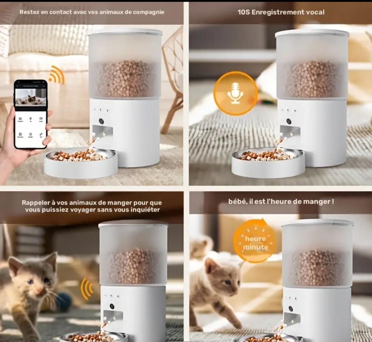 Distributeur automatique de croquettes pour chat