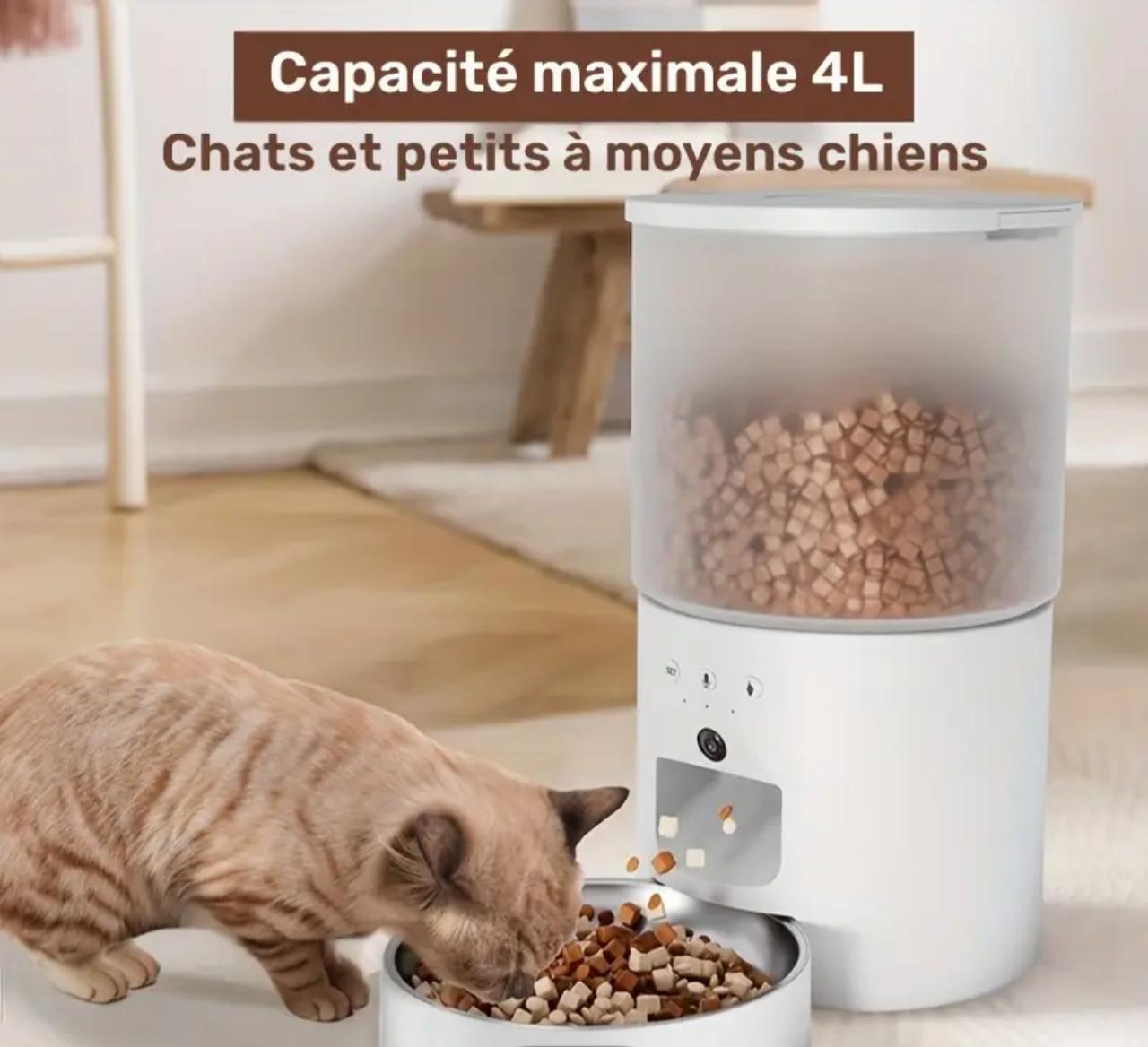 Distributeur automatique de croquettes pour chat