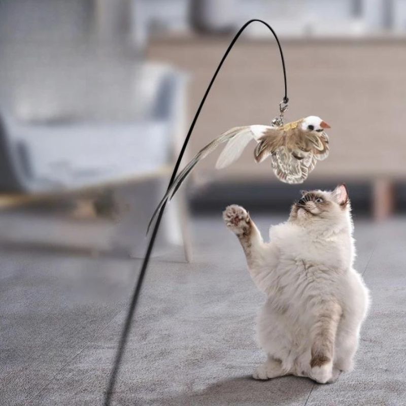 Jouet Chat Oiseau BirdFamily