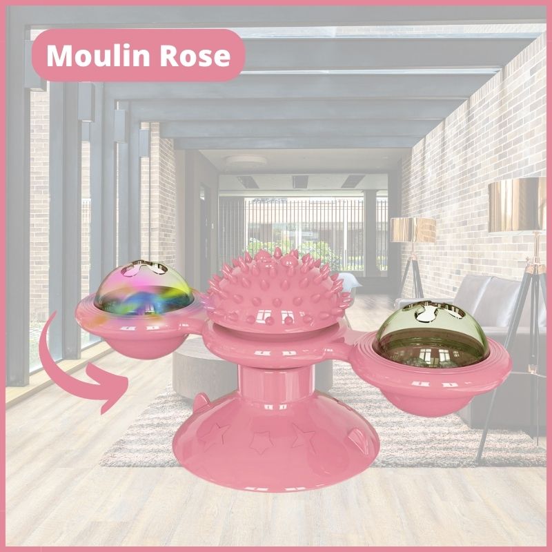https://cdn.shopify.com/s/files/1/0647/7493/0696/products/jouet-pour-chat-d_appartement-moulin.jpg?v=1674057688
