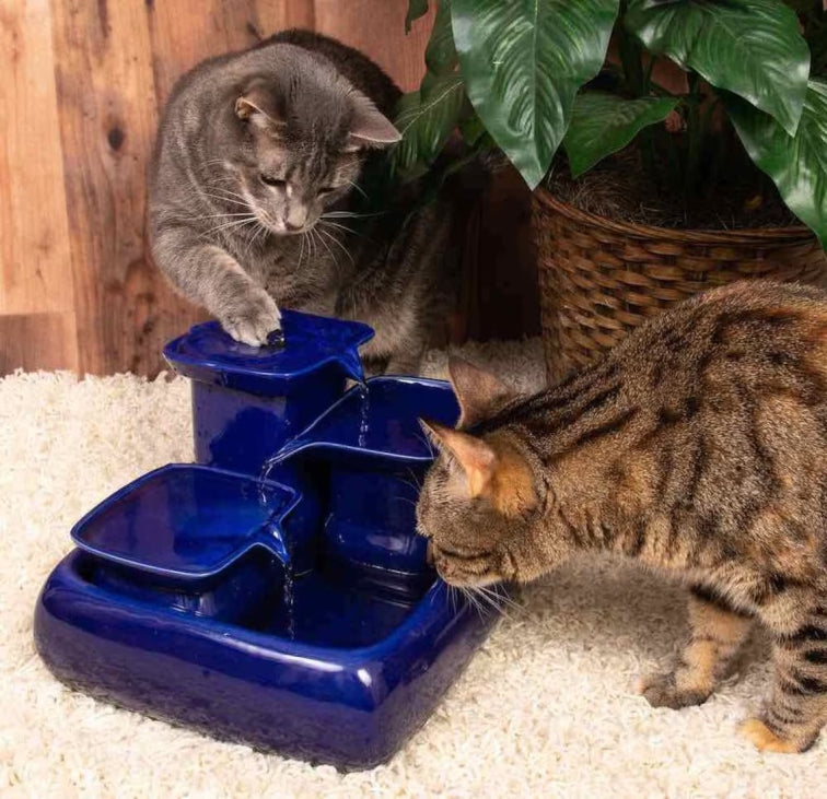 Fontaine d’eau pour chat en céramique + Brosse a chat offerte