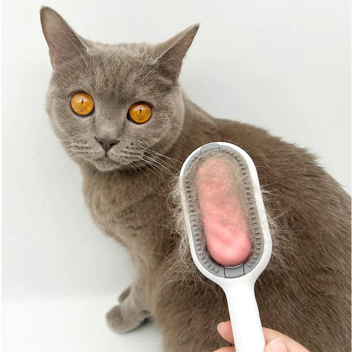 BROSSE AUTO-NETTOYANTE POUR CHAT