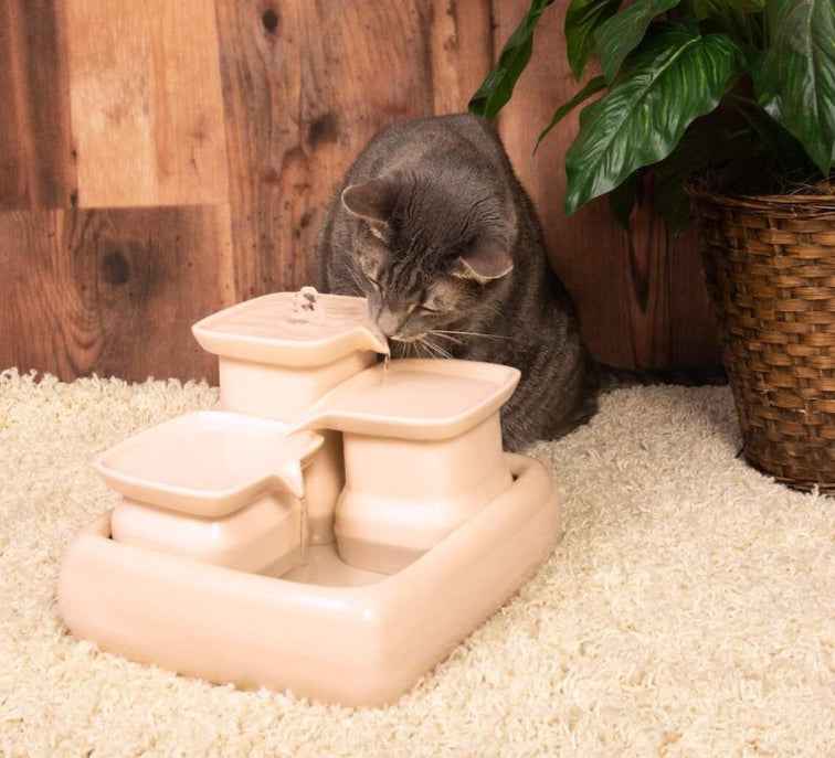 Fontaine d’eau pour chat en céramique + Brosse a chat offerte