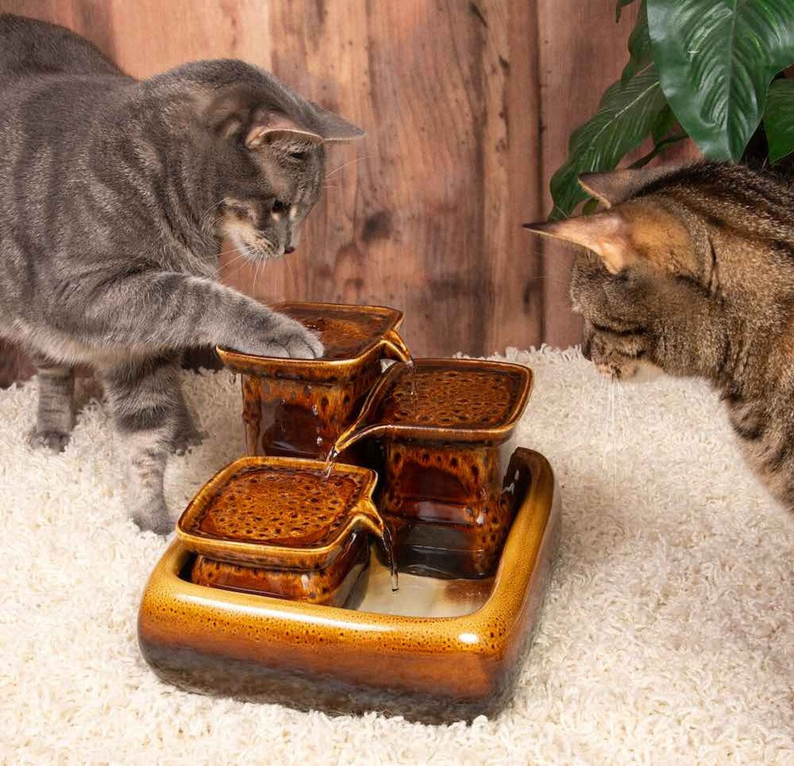 Fontaine d’eau pour chat en céramique + Brosse a chat offerte
