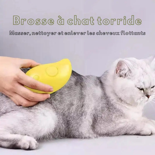 Brosse a chat & chien avec Spray Vapeur d'Eau