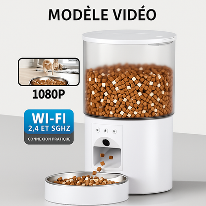 Distributeur automatique de croquettes pour chat
