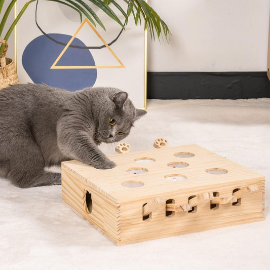Jouet Interactif en Bois 3-en-1 pour Chats