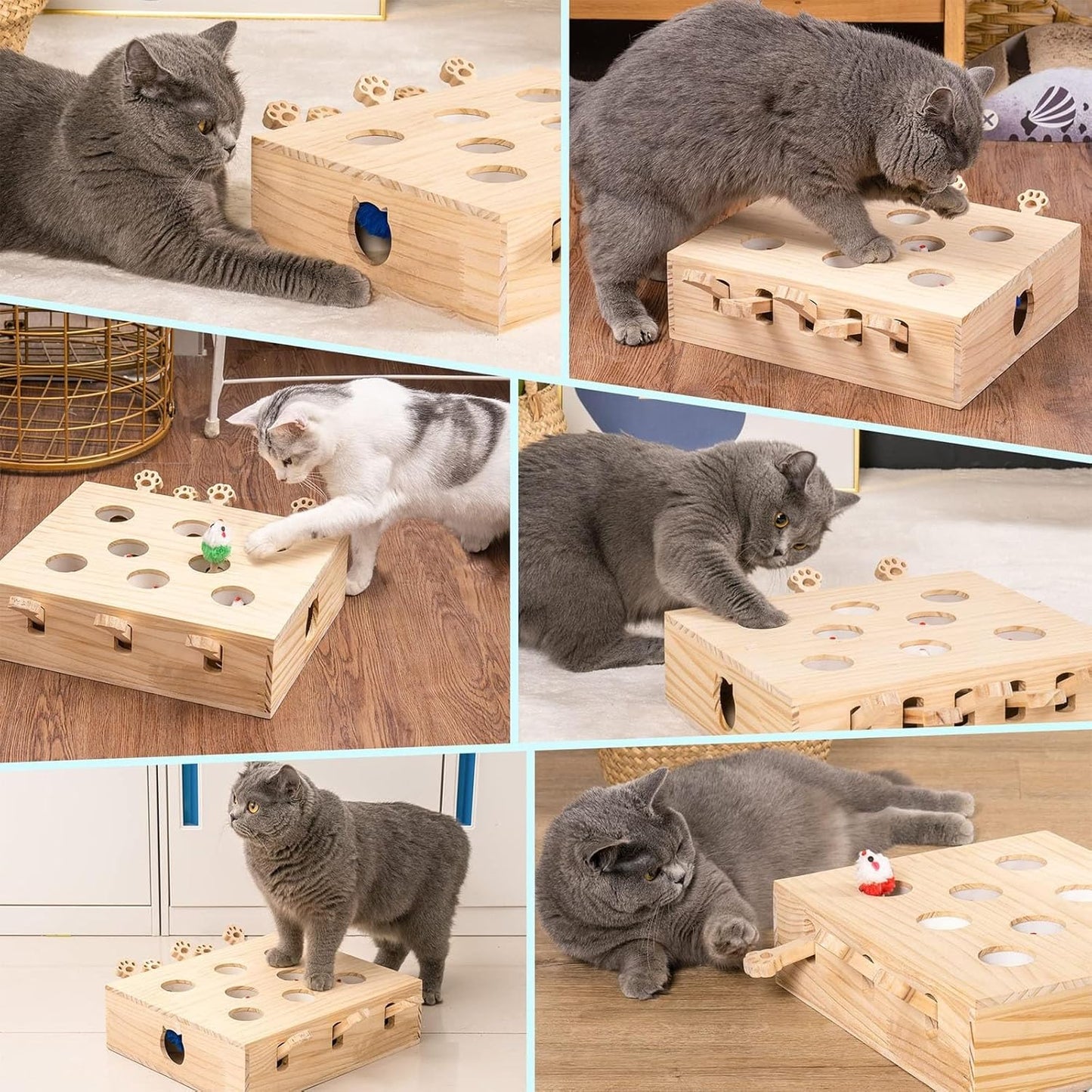 Jouet Interactif en Bois 3-en-1 pour Chats