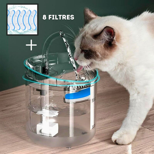 Fontaine à eau pour chat | AquaMiaou™