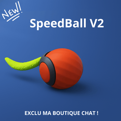 https://cdn.shopify.com/s/files/1/0647/7493/0696/files/JouetchatMaBOUTIQUECHAT2.png?v=1744209592