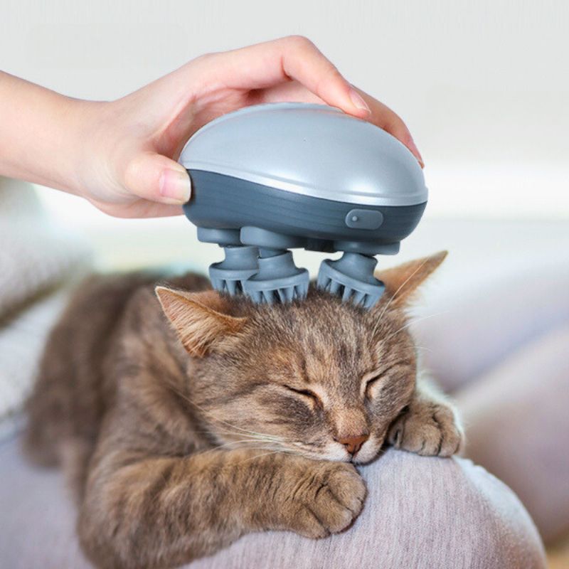 Masseur pour chat | MasseMiaou™