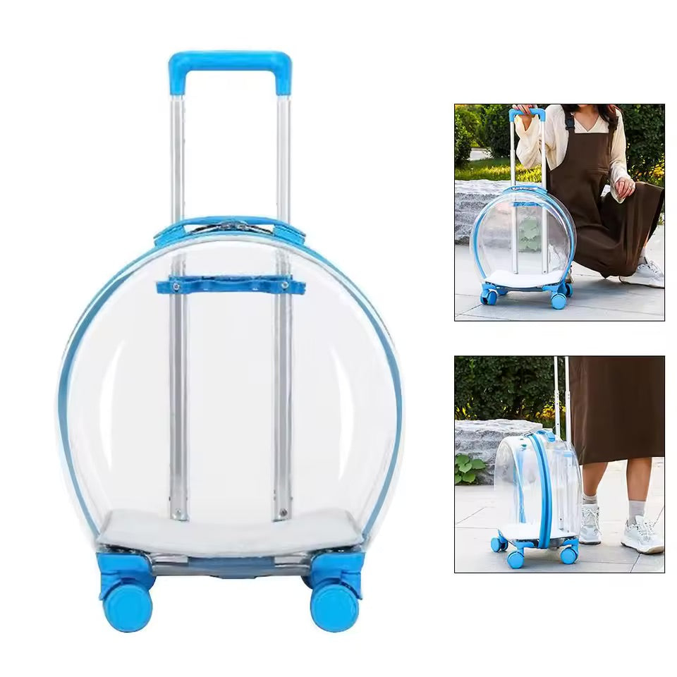 Valise de transport transparente pour chats – Design élégant avec roulettes et coussin confortable