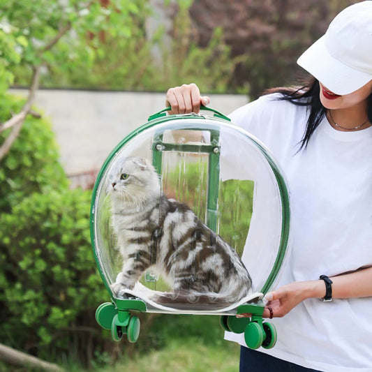 Valise de transport transparente pour chats – Design élégant avec roulettes et coussin confortable