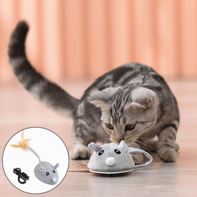 Jouet Souris Interactive