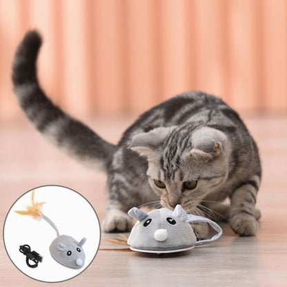 Jouet Souris Interactive