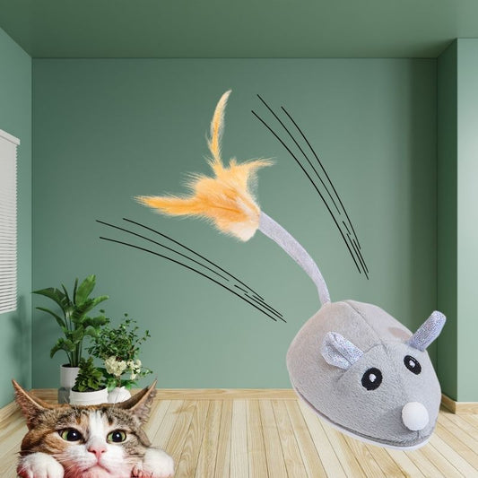Jouet Souris Interactive