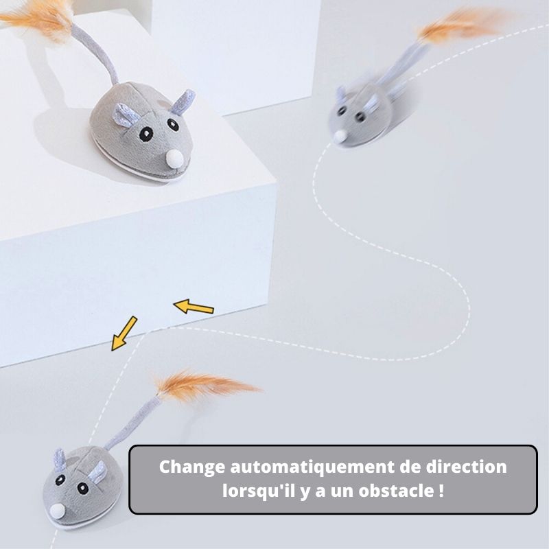 Jouet Souris Interactive