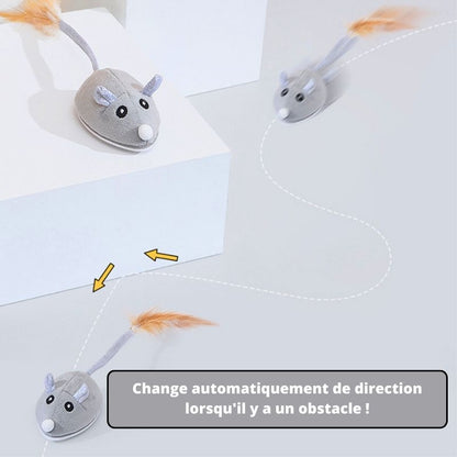 Jouet Souris Interactive