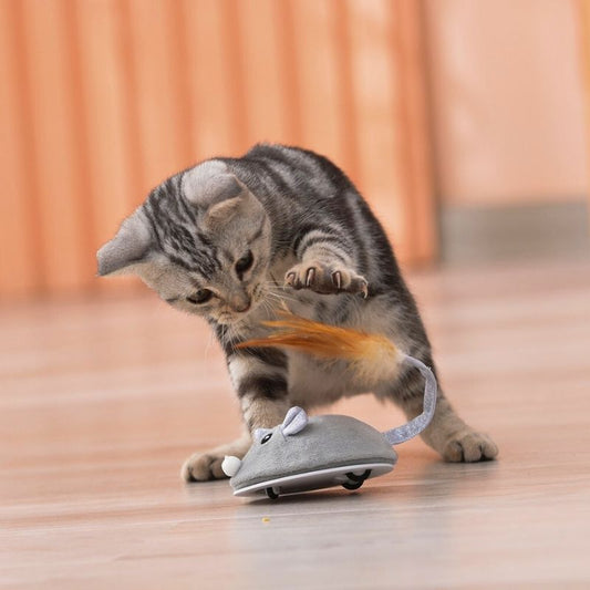 Jouet Souris Interactive