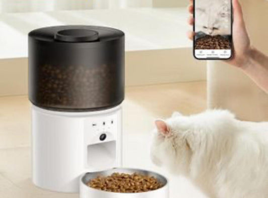 Distributeur automatique de croquettes pour chat