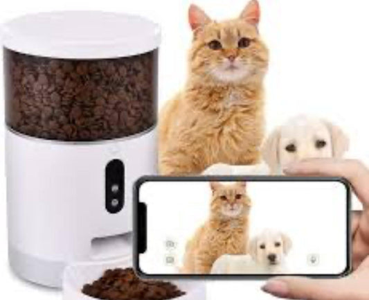 Distributeur automatique de croquettes pour chat