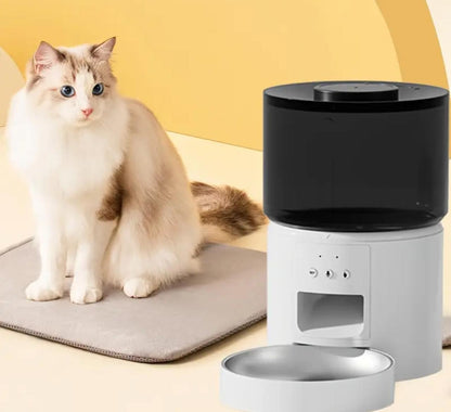 Distributeur automatique de croquettes pour chat