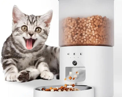 Distributeur automatique de croquettes pour chat
