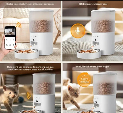 Distributeur automatique de croquettes pour chat