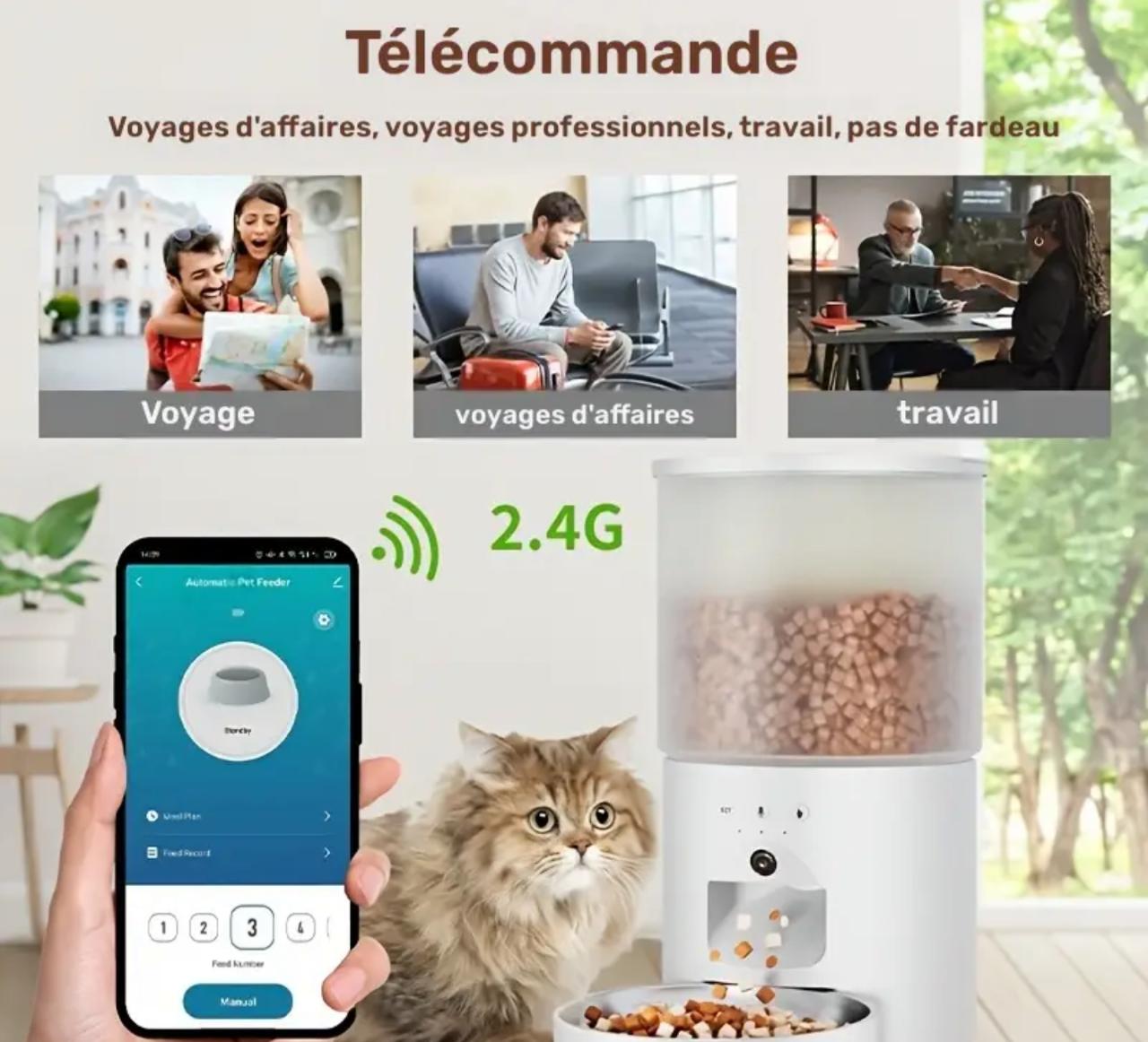 Distributeur automatique de croquettes pour chat