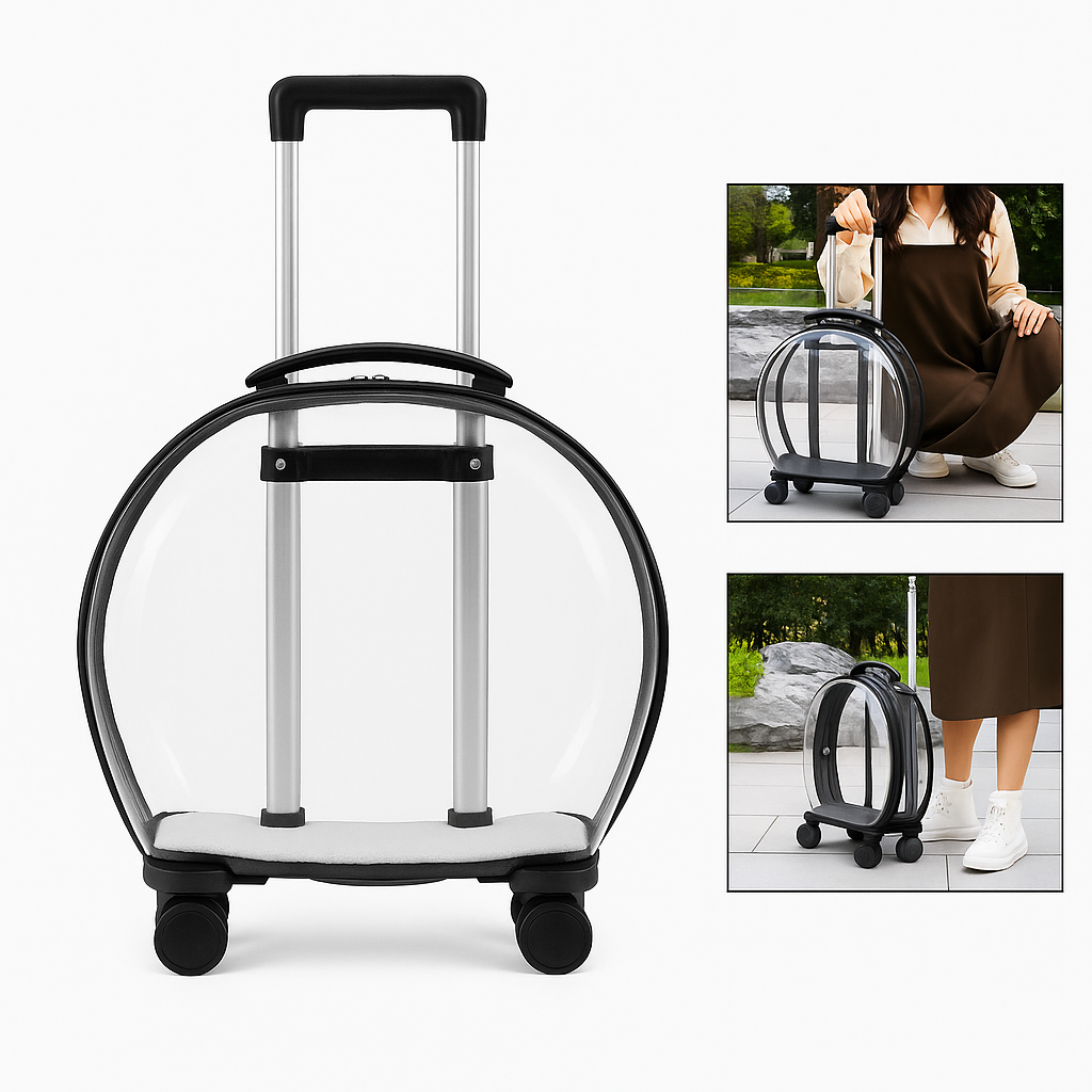 Valise de transport transparente pour chats – Design élégant avec roulettes et coussin confortable