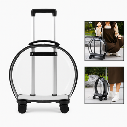 Valise de transport transparente pour chats – Design élégant avec roulettes et coussin confortable