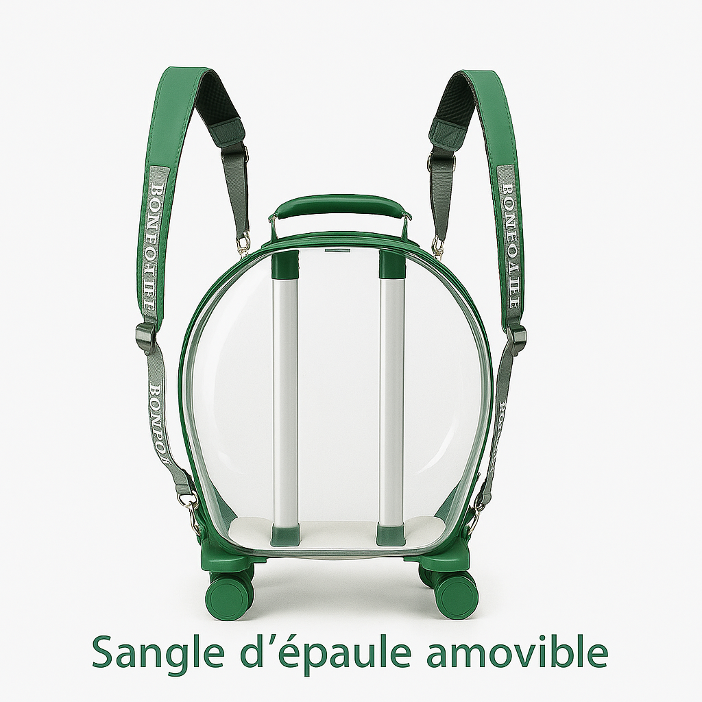 Valise de transport transparente pour chats – Design élégant avec roulettes et coussin confortable