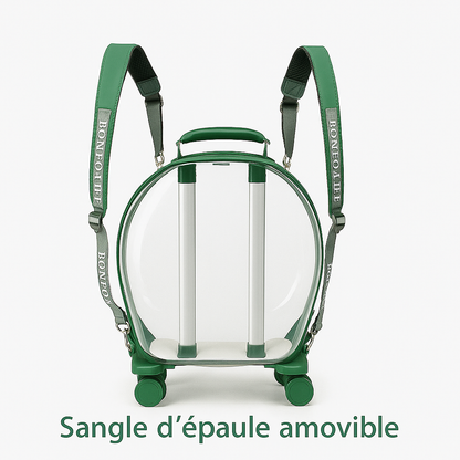 Valise de transport transparente pour chats – Design élégant avec roulettes et coussin confortable