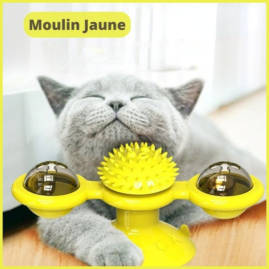 https://cdn.shopify.com/s/files/1/0647/7493/0696/products/jouet-chat-interactif-herbe-a-chat.jpg?v=1674057696