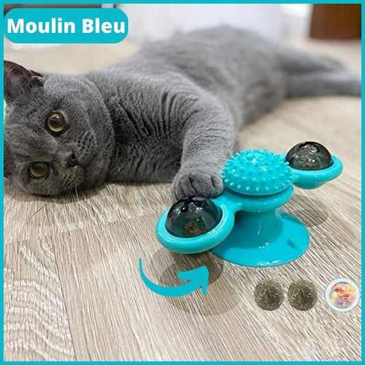 https://cdn.shopify.com/s/files/1/0647/7493/0696/products/jouet-pour-chat-interactif-bleu.jpg?v=1674061394