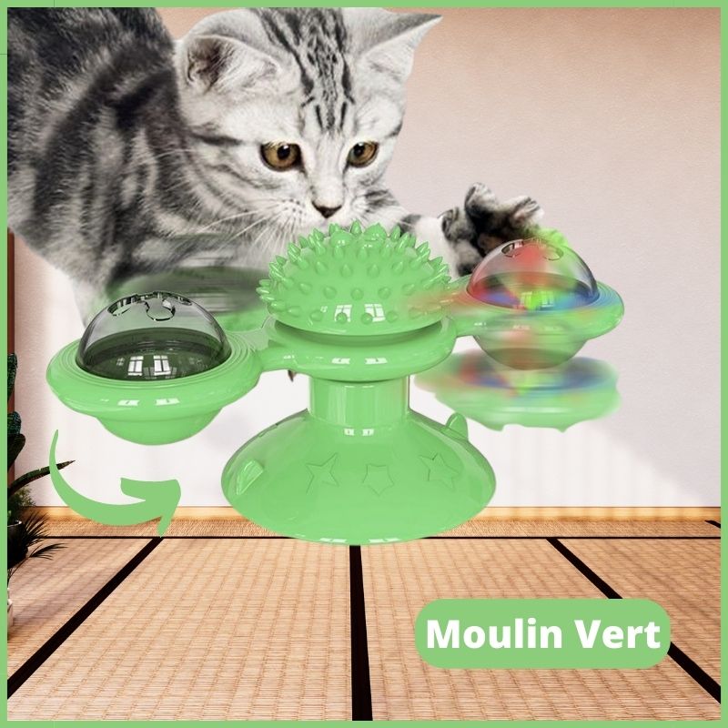 https://cdn.shopify.com/s/files/1/0647/7493/0696/products/jouet-pour-chat-interactif-vert.jpg?v=1674061394