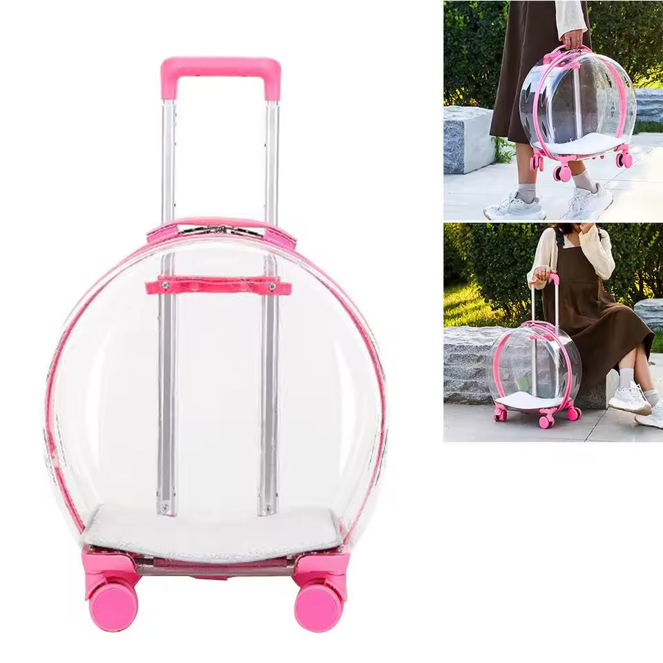 Valise de transport transparente pour chats – Design élégant avec roulettes et coussin confortable