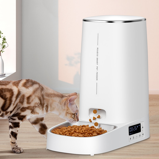 Mangeoire Automatique 4L pour Animaux de Compagnie – Simplifiez la Vie de Votre Animal et la Vôtre