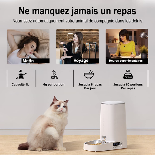 Mangeoire Automatique 4L pour Animaux de Compagnie – Simplifiez la Vie de Votre Animal et la Vôtre