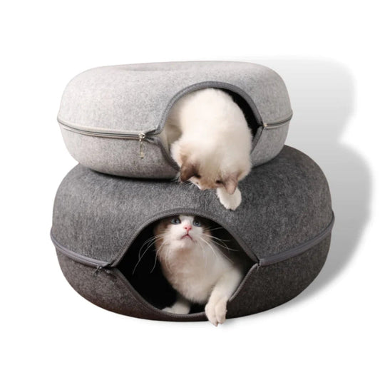 LIT POUR CHAT INTERACTIF
