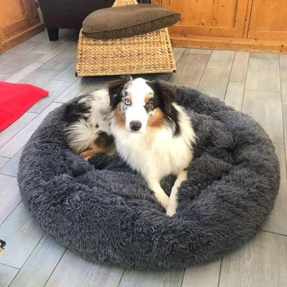 Coussin Pour Chien et Chat